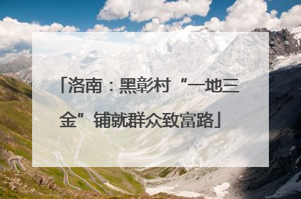 洛南：黑彰村“一地三金”铺就群众致富路
