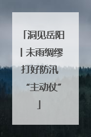 洞见岳阳丨未雨绸缪 打好防汛“主动仗”