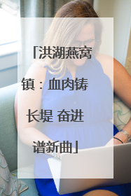 洪湖燕窝镇：血肉铸长堤 奋进谱新曲