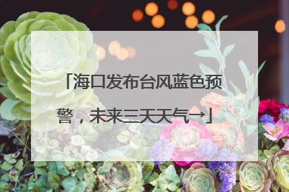 海口发布台风蓝色预警，未来三天天气→