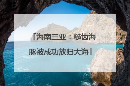 海南三亚：糙齿海豚被成功放归大海