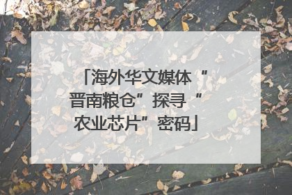 海外华文媒体“晋南粮仓”探寻“农业芯片”密码