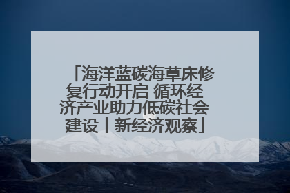 海洋蓝碳海草床修复行动开启 循环经济产业助力低碳社会建设丨新经济观察