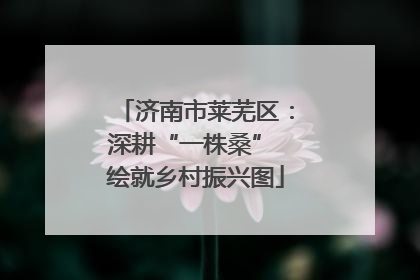 济南市莱芜区：深耕“一株桑” 绘就乡村振兴图