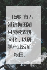 浏阳市古港镇梅田湖村赓续农耕文化，以研学产业反哺粮田