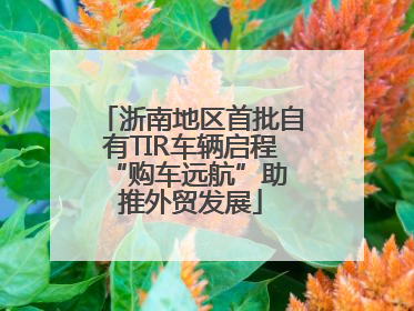 浙南地区首批自有TIR车辆启程 “购车远航”助推外贸发展