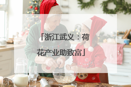 浙江武义：荷花产业助致富