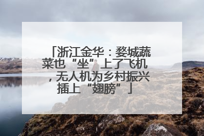 浙江金华：婺城蔬菜也“坐”上了飞机，无人机为乡村振兴插上“翅膀”