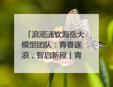 浪潮通软海岳大模型团队：青春逐浪，智启新程｜青春思政课