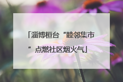 淄博桓台“睦邻集市”点燃社区烟火气