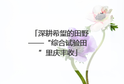 深耕希望的田野——“综合试验田”里庆丰收