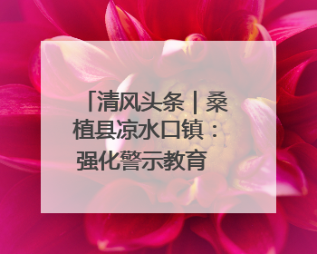 清风头条｜桑植县凉水口镇：强化警示教育 构筑廉洁防线