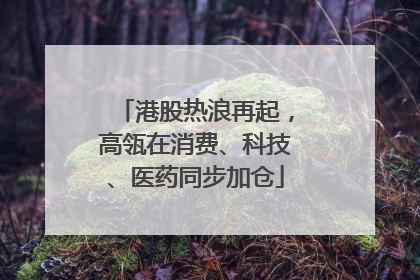港股热浪再起，高瓴在消费、科技、医药同步加仓