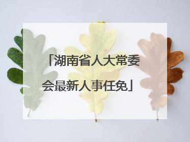 湖南省人大常委会最新人事任免