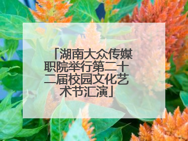 湖南大众传媒职院举行第二十二届校园文化艺术节汇演