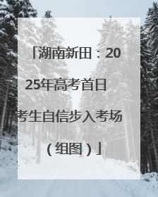 湖南新田：2025年高考首日 考生自信步入考场（组图）