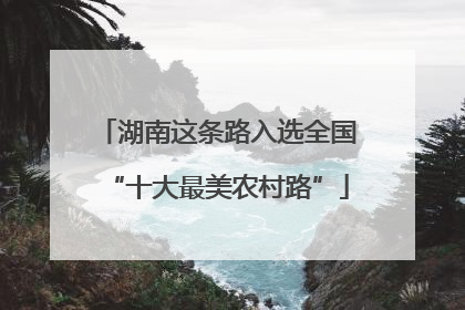 湖南这条路入选全国“十大最美农村路”
