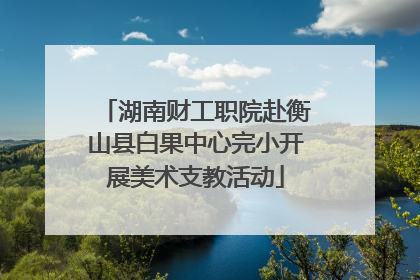 湖南财工职院赴衡山县白果中心完小开展美术支教活动