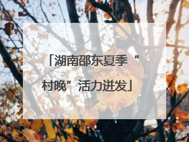 湖南邵东夏季“村晚”活力迸发