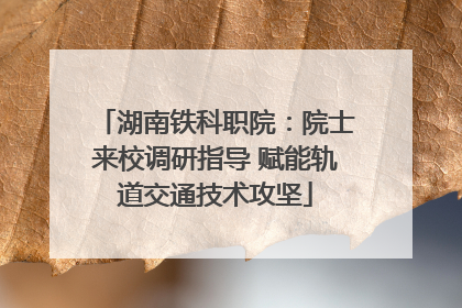 湖南铁科职院：院士来校调研指导 赋能轨道交通技术攻坚