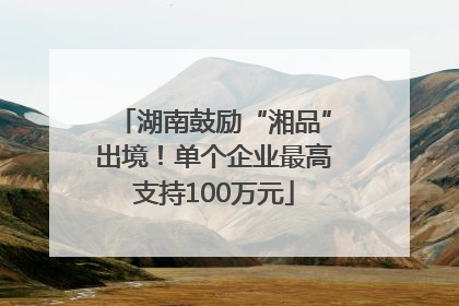 湖南鼓励“湘品”出境！单个企业最高支持100万元