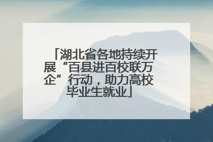 湖北省各地持续开展“百县进百校联万企”行动，助力高校毕业生就业