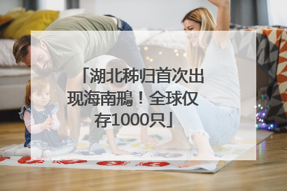 湖北秭归首次出现海南鳽！全球仅存1000只