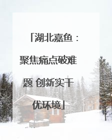 湖北嘉鱼：聚焦痛点破难题 创新实干优环境