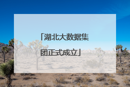 湖北大数据集团正式成立