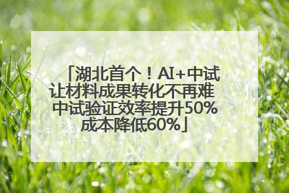 湖北首个！AI+中试让材料成果转化不再难 中试验证效率提升50%成本降低60%