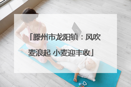 滕州市龙阳镇：风吹麦浪起 小麦迎丰收