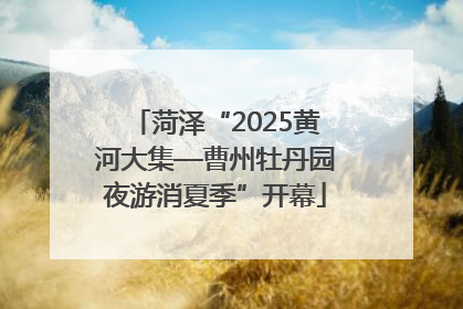 菏泽“2025黄河大集—曹州牡丹园夜游消夏季”开幕