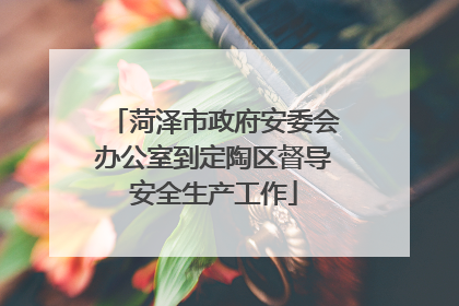 菏泽市政府安委会办公室到定陶区督导安全生产工作