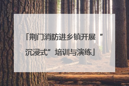 荆门消防进乡镇开展“沉浸式”培训与演练