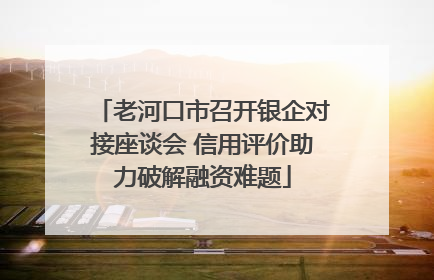 老河口市召开银企对接座谈会 信用评价助力破解融资难题