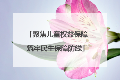 聚焦儿童权益保障 筑牢民生保障防线
