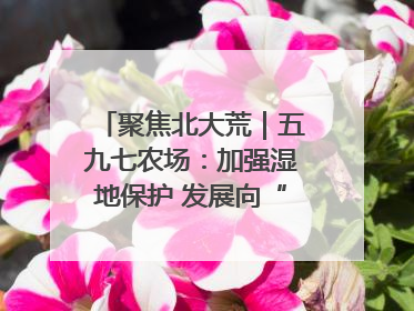 聚焦北大荒｜五九七农场：加强湿地保护 发展向“绿”而行