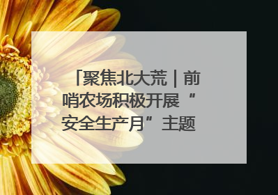 聚焦北大荒｜前哨农场积极开展“安全生产月”主题宣传活动