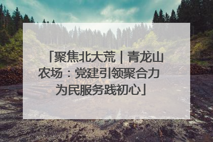 聚焦北大荒｜青龙山农场：党建引领聚合力 为民服务践初心