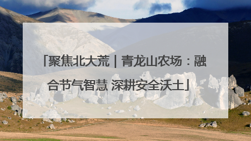 聚焦北大荒｜青龙山农场：融合节气智慧 深耕安全沃土