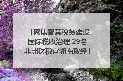 聚焦智慧税务建设、国际税收治理 29名非洲财税官湖南取经