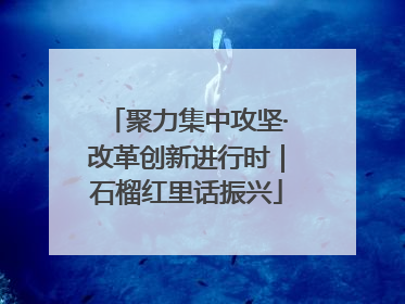 聚力集中攻坚·改革创新进行时｜石榴红里话振兴