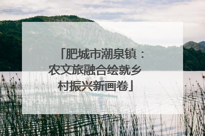 肥城市潮泉镇：农文旅融合绘就乡村振兴新画卷