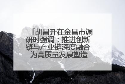胡昌升在金昌市调研时强调：推进创新链与产业链深度融合 为高质量发展塑造新动能新优势