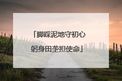 脚踩泥地守初心 躬身田垄担使命