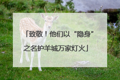 致敬！他们以“隐身”之名护羊城万家灯火