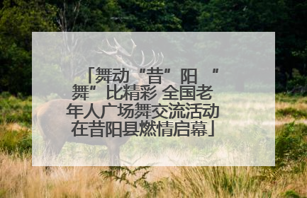舞动“昔”阳 “舞”比精彩 全国老年人广场舞交流活动在昔阳县燃情启幕