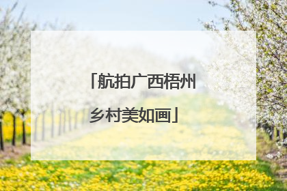航拍广西梧州乡村美如画