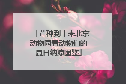 芒种到丨来北京动物园看动物们的夏日纳凉图鉴