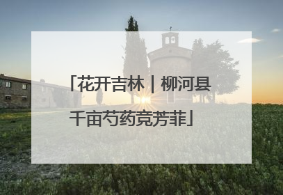 花开吉林｜柳河县千亩芍药竞芳菲
